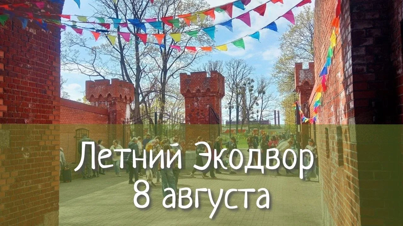 Афиша события «Летний Экодвор»