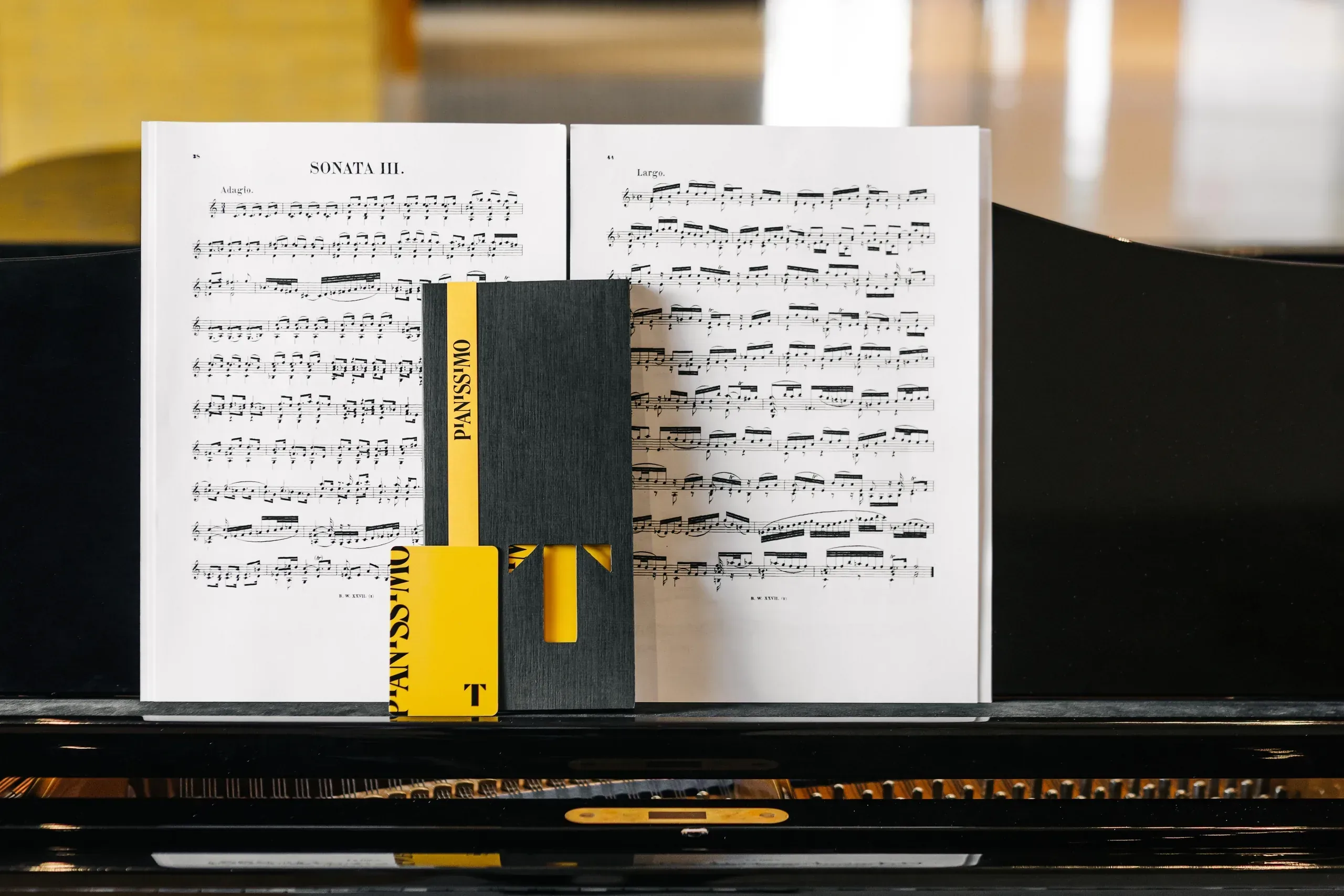 Афиша события «Фестиваль Pianissimo»